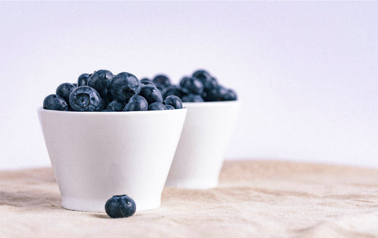 Low Calorie Dog Treats You Can Find in Your Fridge