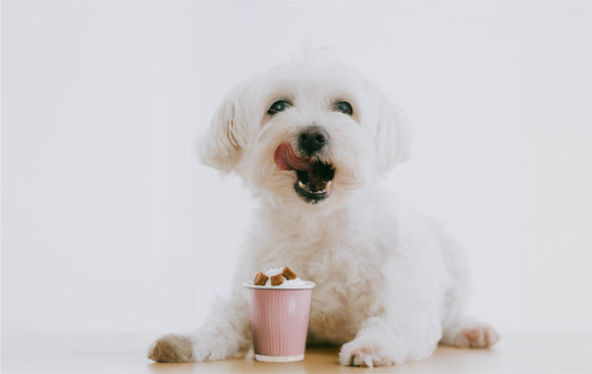 How to Make Tasty Pup Cups!