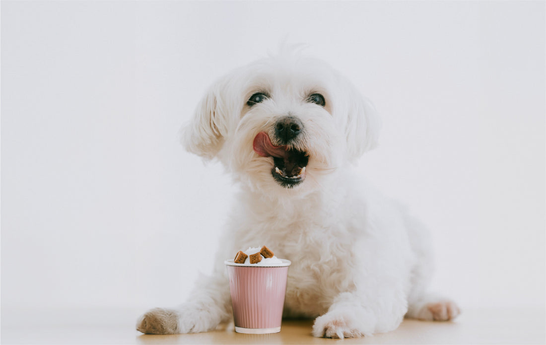 How to Make Tasty Pup Cups!