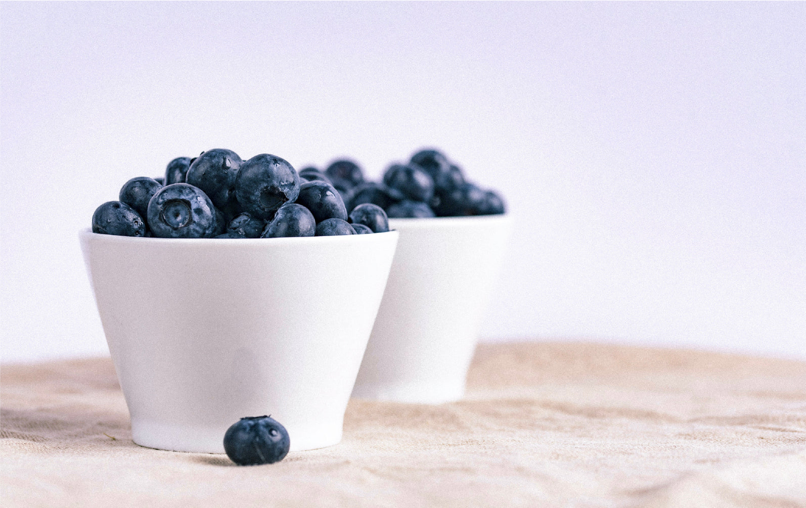 Low Calorie Dog Treats You Can Find in Your Fridge