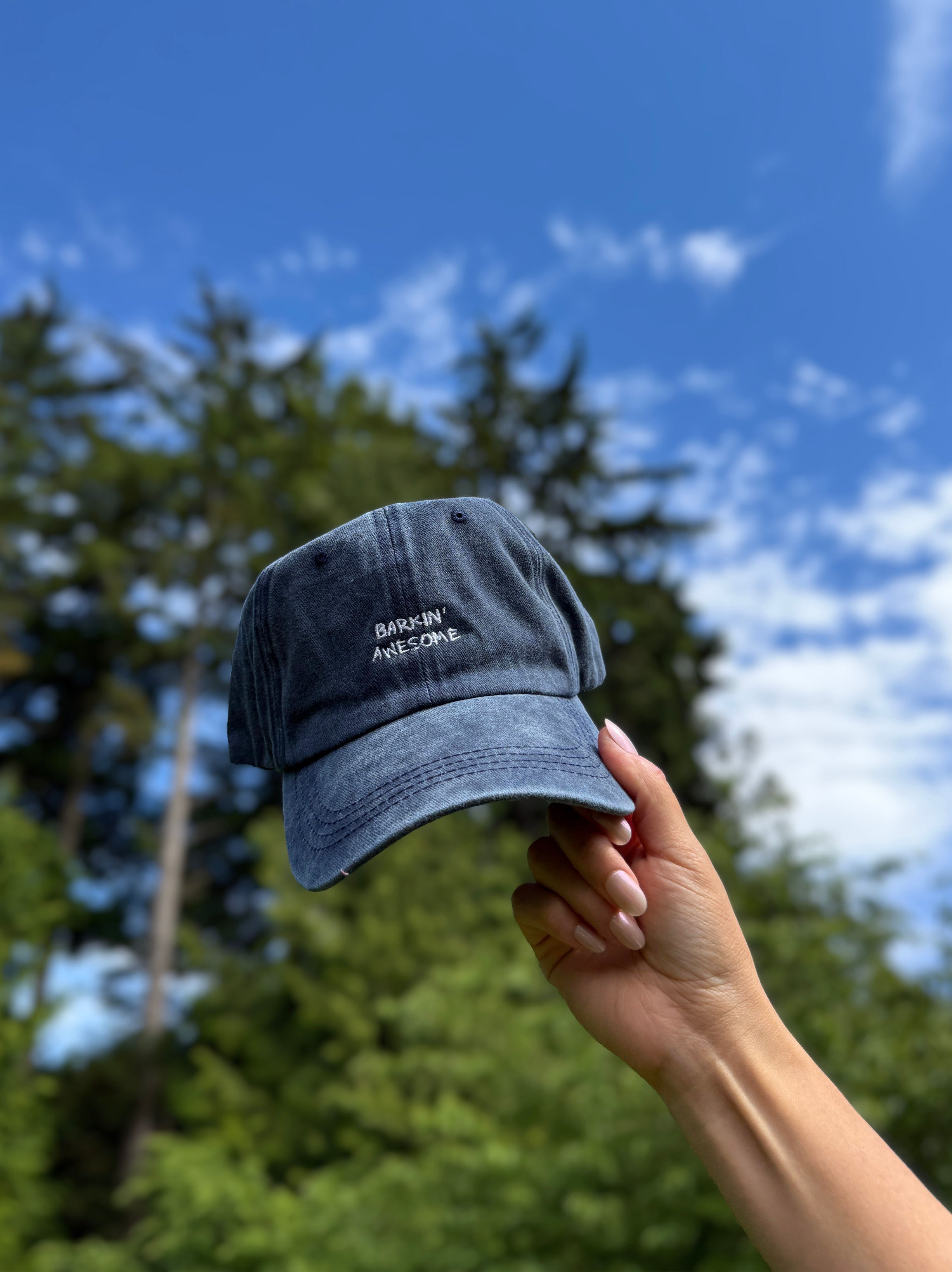 Barkin' Awesome Vintage Hat -  Blue