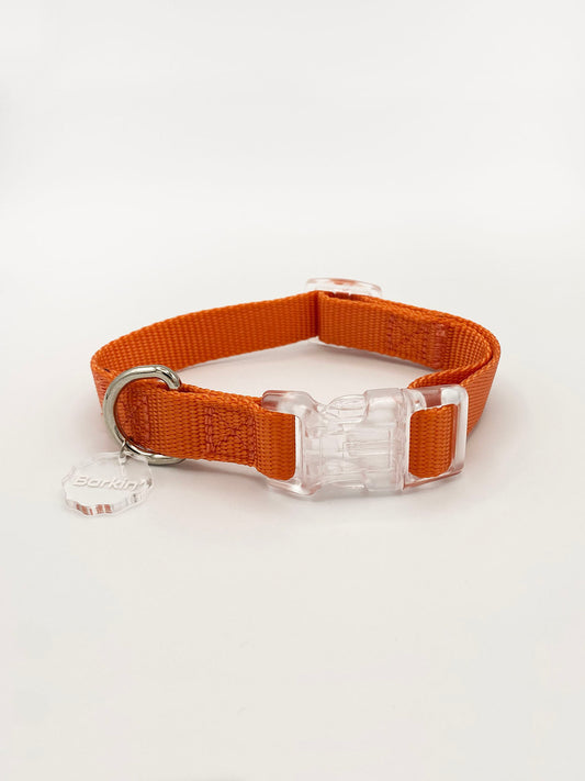 Tangerine Buckle Collar - Airy Walk Essentials