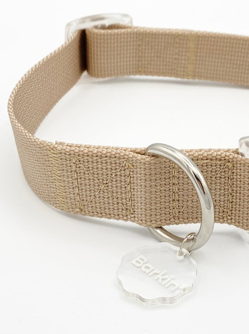 Latte Buckle Collar