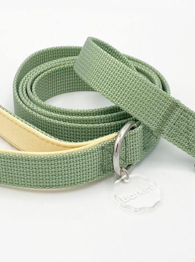 Sage Comfort Leash